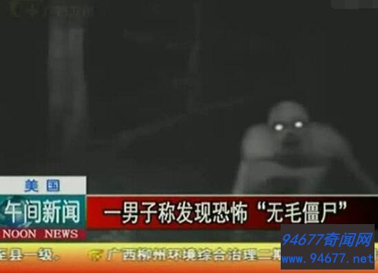 无毛僵尸